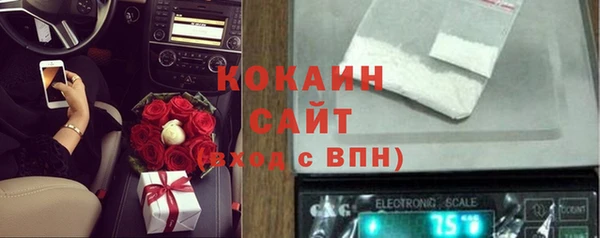 соль ск Елизово