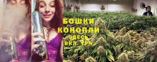 прущий лед Ельня